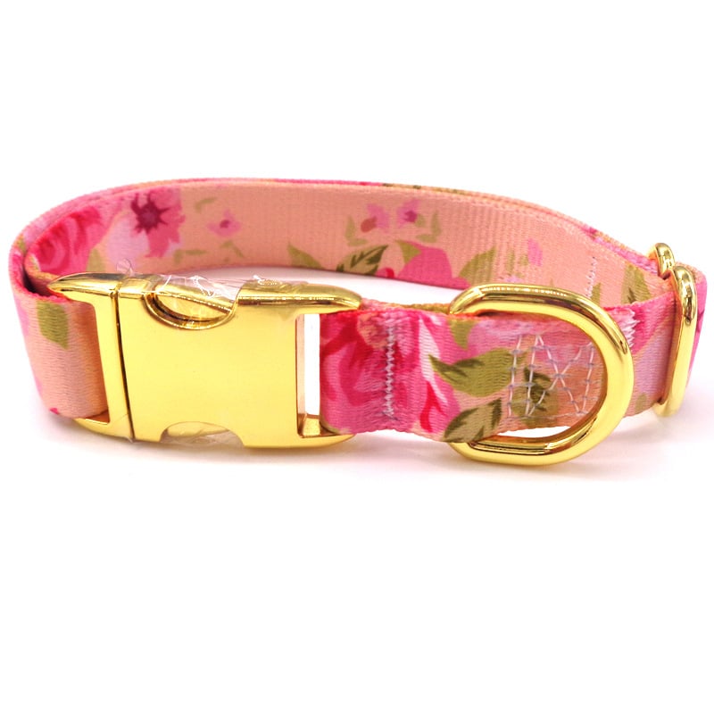 Golden Buckle Dog Collar with Custom Lettering