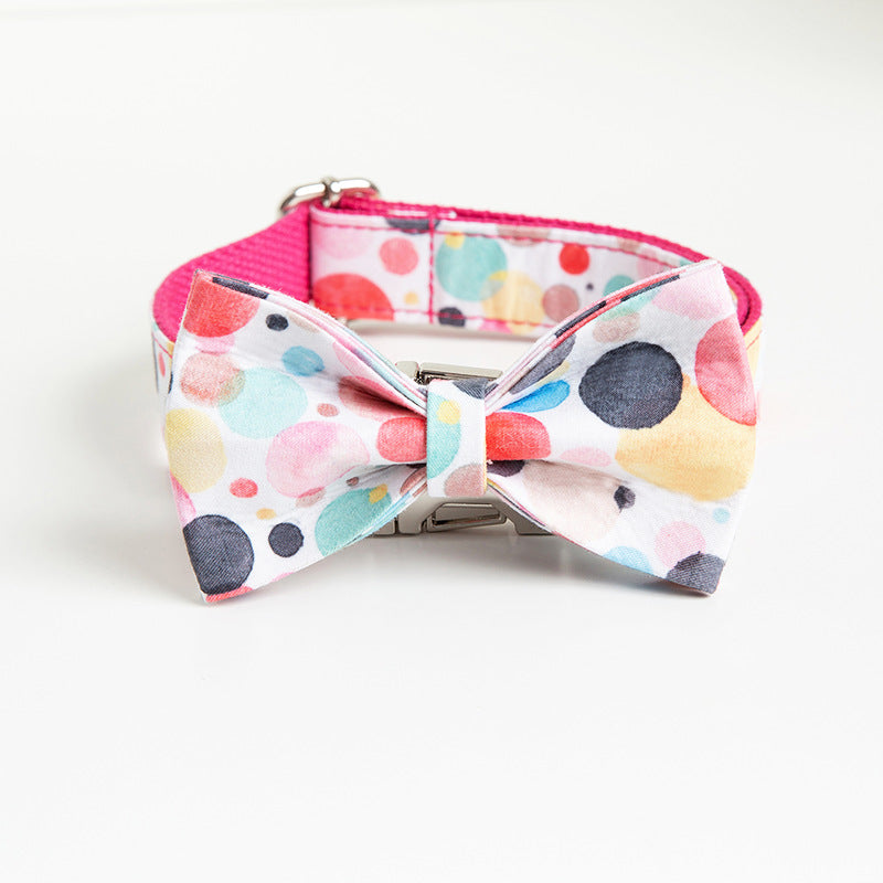 Personalized Dog Collar with Custom Lettering Design