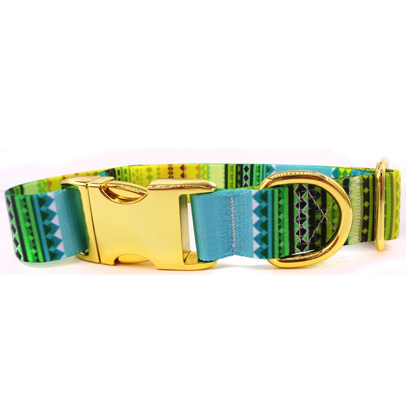 Golden Buckle Dog Collar with Custom Lettering