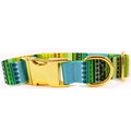 Golden Buckle Dog Collar with Custom Lettering