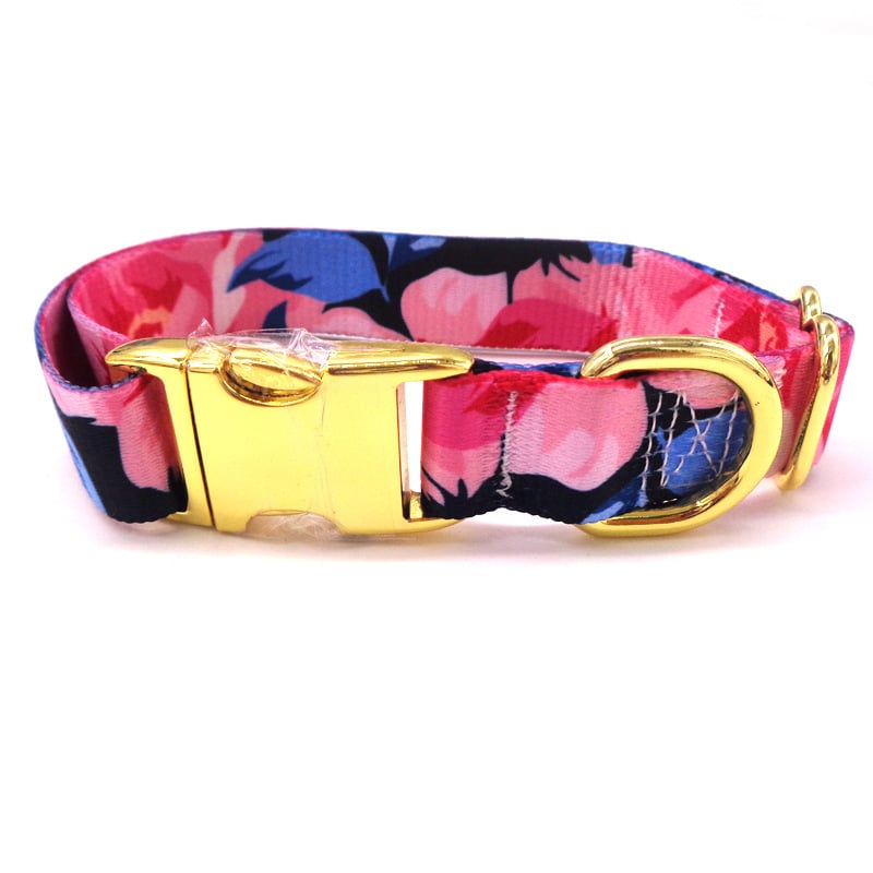 Golden Buckle Dog Collar with Custom Lettering