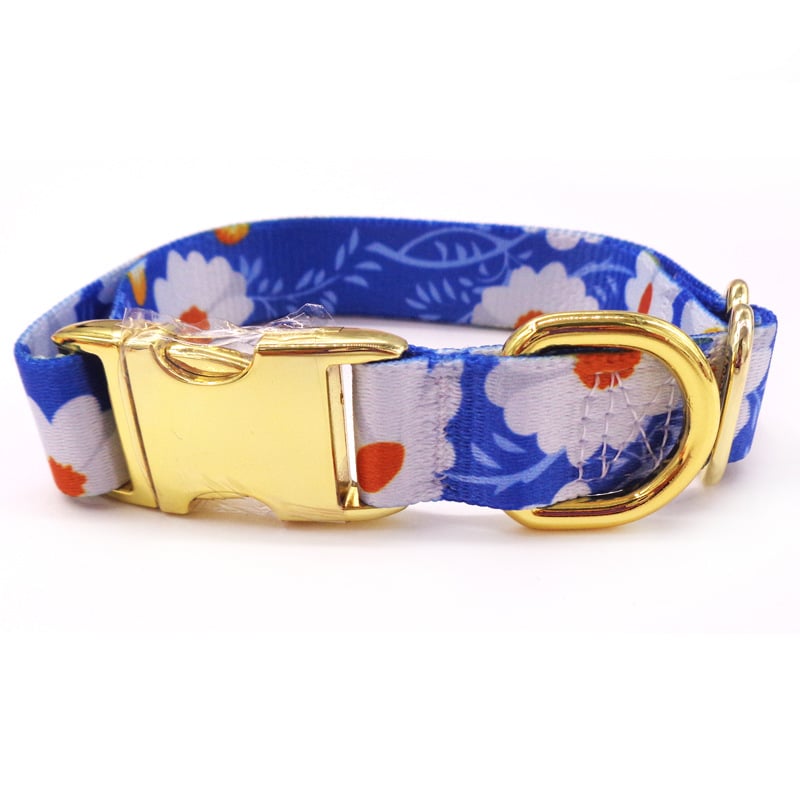 Golden Buckle Dog Collar with Custom Lettering