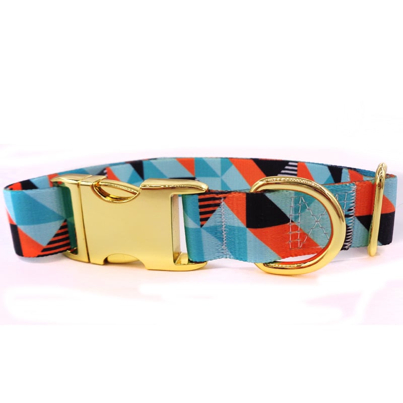 Golden Buckle Dog Collar with Custom Lettering